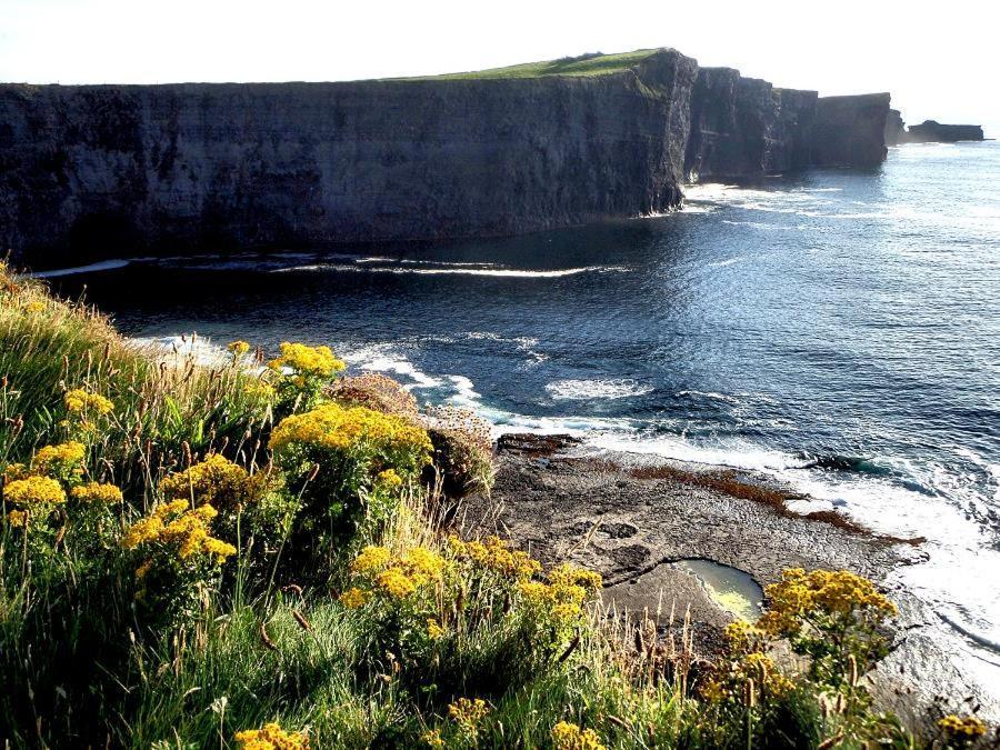 Bealaha House Bed & Breakfast Doonbeg Eksteriør bilde