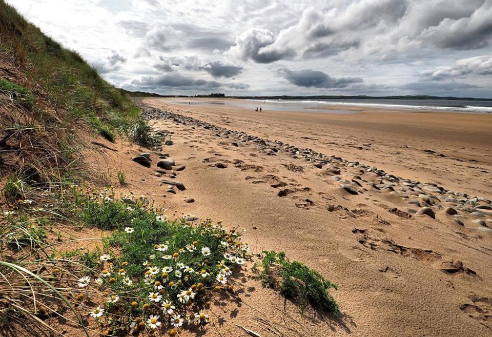 Bealaha House Bed & Breakfast Doonbeg Eksteriør bilde